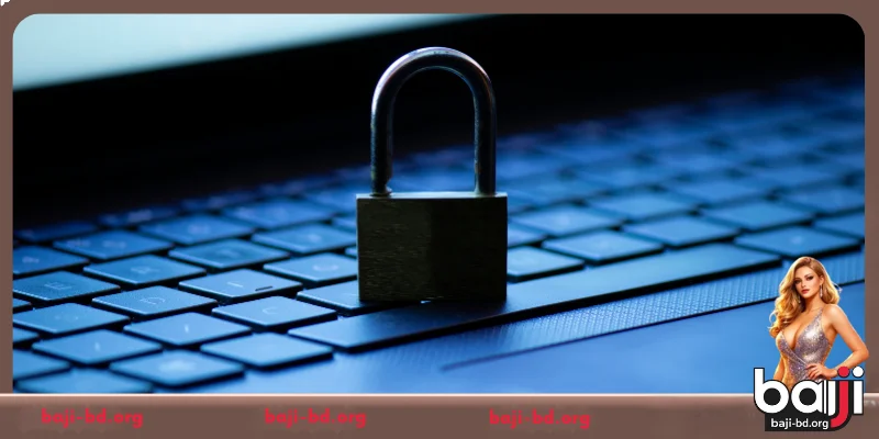 General Introduction to the Crickex Privacy Policy